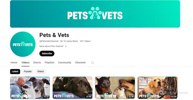 Pets  Vets